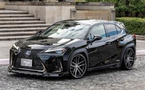Lexus UX200 F-Sport by Rowen 2019 года